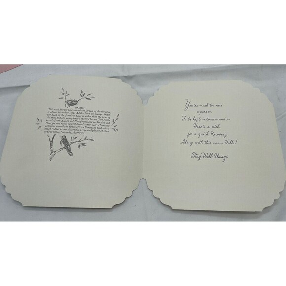 5 VINTAGE QUALITY CREST BEAUTIFUL BIRDS SCENES GREETING CARDS UNUSED ENVLEOPES - Picture 4 of 13